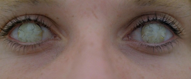 ‘The Beyond’ 4K Review – A Strong Contender for Best Physical Media Release of the Year