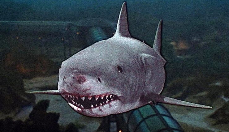 All Four ‘Jaws’ Movies Are Returning to Netflix for 50th Anniversary