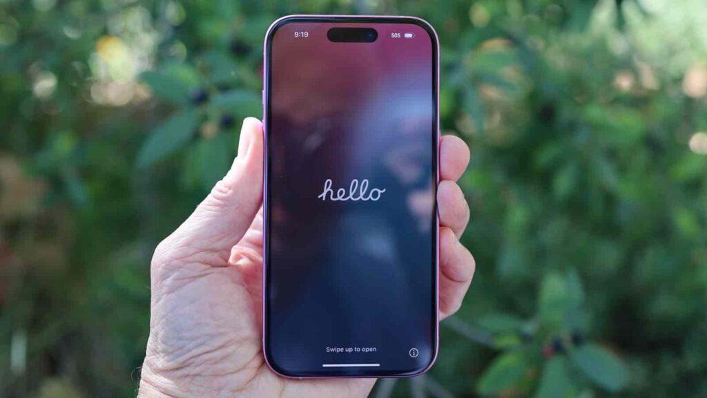 An iPhone 17 case maker may have leaked the flagship phone's display upgrade