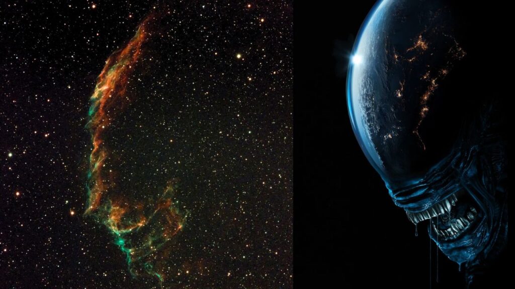 I tried to image the Veil Nebula but accidentally got an 'Alien' Xenomorph (photo)