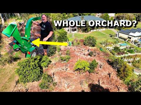 Can the Hansa C21 Chip Our Whole Orchard? (4 Days of Real-World Testing)